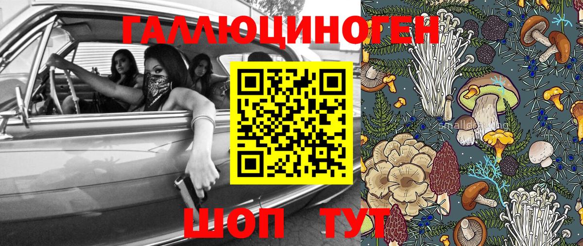 Галлюциногенные грибы Psilocybine cubensis  Вход с VPN  Псилоцибиновые грибы Cubensis  Челябинск 